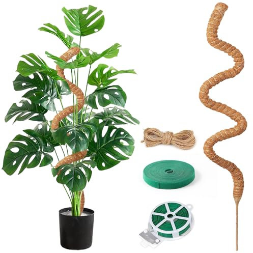 Aulese Rankhilfe Monstera 125cm, Moosstab für Monstera mit Zubehör, Pflanzenstütze Zimmerpflanzen, Pflanze Unterstützung für Kletterpflanzen im Innenbereich