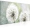 Runa Art Wandbild Pusteblume 1 Teilig 100 x 40 cm Modern Bild auf Vlies Leinwand Natur Wohnzimmer Schlafzimmer Grau Grün 207112a