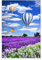 Siunwdiy Statische Kleberfreie Milchglasfolie Fenstergitter Aufkleber Badezimmer Balkon Fenster,Folie für Fenster Deko-Strand - Lavendel - Heißluftballon,A,80x100cm