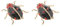Paowsietiviity Broche insecte coccinelle en émail pour homme et femme Rouge, 2.9x3.1cm, Plastique