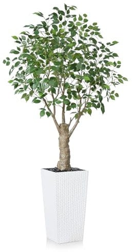 Fopamtri Artificial Ficus Tree 180 cm Fake Plants, Artificial Plants Indoor with Lifelike Leaves with White Tall Planter UV Resistant for Outdoor Decorations (1 Pack)