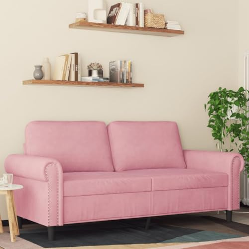 Frdhee Kleines Sofa Schlafsessel,2-Sitzer-Sofa Rosa 140 cm Samt,Schlafcouch für Schlafzimmer Wohnzimmer