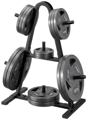 Weight Rack for Home Gym, 400 LB Weight Tree