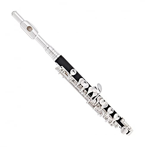 Flûte piccolo d'étudiant avec étui par Gear4music Trou fermé Clé de do