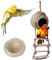 PIVBY Vogelhaus mit Leiter aus Kokosfaser, 100 % natürliches Kokosnuss-Versteck für Papageien, Wellensittiche, Nymphensittiche, Sittiche, Kanarienvogel, Finken, Taubenkäfig