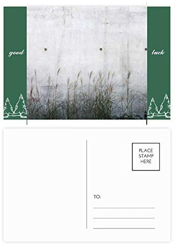 Lot de 20 cartes postales porte-bonheur en métal Noir/blanc