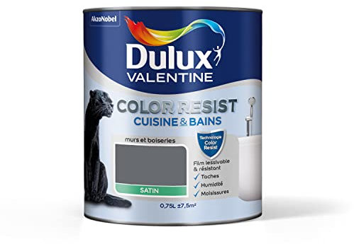 Dulux Valentine Color Resist Cuisine & Bains - Peinture Intérieure Pièces Humides - Pour Murs, Plafonds, Boiseries - Lessivable et Résistante - Couleur : Anthracite Satin - 0,75 L - 5262076