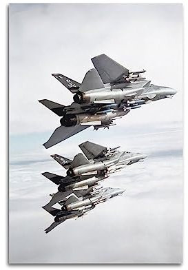 Fighter Poster F-14 Tomcat Fighter Jet Dekorative Malerei Leinwand Wand und Kunst Bild Familie Schlafzimmer Dekor 30 x 45 cm