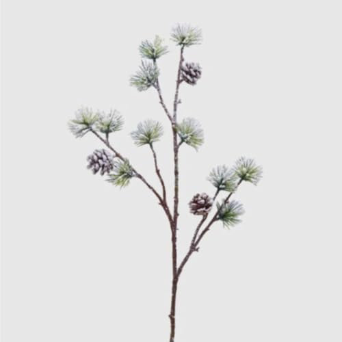 EDG Pino Ramo con PIGNA X3 INNEVATO H70 Colore : White Green