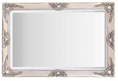 Select Spiegel Wandspiegel groß Haywood, – French Vintage, Rokoko Barock Stil – 60 cm x 90 cm (2 x 3 ft), Antique Champagne, 60 x 90 cm