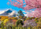 Osaka Castle Puzzle 1000 Teile Erwachsene Fuji Cherry Blossom Erwachsene 1000 Teile Puzzle Geschenkideen