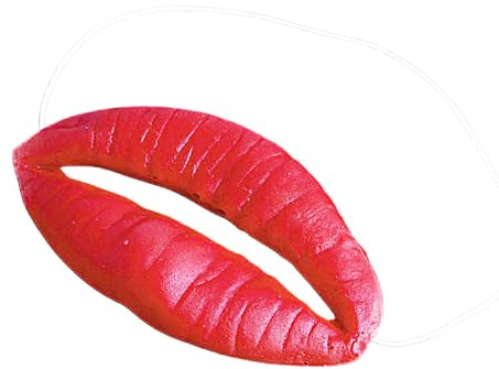 Raypontia 6 Stück Gefälschte Lippen - 9.8Cm Wurstmund Spielzeug,Gefälschte Rote Lippen,Große Rote Lippen Spielzeug,Große Lippen Fasching,Große Rote Lippen,Lustige Rote Lippen Fasching Lustige Lippen