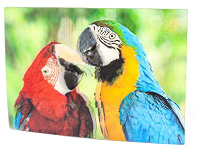 Cornelißen naTierliche Geschenke Cornelissen 3D-Postkarte Papageien, Wackelkarte Hologrammkarte, Ansichtskarte und Grußkarte, Vogelmotiv, 16 x 11 cm