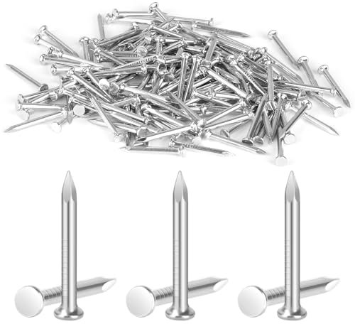 300 Stück Nägel, 20mm Stahlnägel Beton, Kleine Nägel für Betonwände Versilbertes Zink, Betonnägel, Nagel Holzarbeiten Ziegelstein für Wände, Holz, Möbel