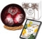 Meer Coco I Rote Design Kokosnuss Schale I INKL. Rezepte Ebook I Geschenk Set I Kokosnussschale und Schalen Halter I Ideal als Acai-, Frühstück-, Snack- Bowls I Deko Schüssel I Lebensmittelecht