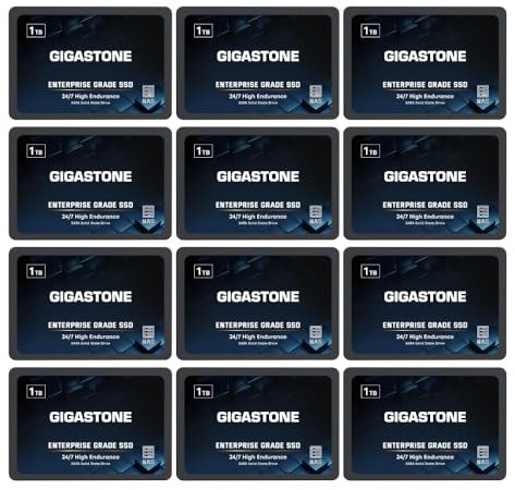 Gigastone SSD 1To NAS SSD Disque (Lot de 12) 24 h/24, 7 j/7 Durable TLC Endurance élevée Raid Synchro sécurisée des données Cache de Stockage en réseau 2,5 Pouces SATA Disque Dur ssd Interne