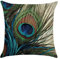 hengjiang Vogel Pfau Kunst Überwurf Kissen Doppelseitig Kissen Baumwolle/Leinen Home Sofa Decor Geschenk Feder 27