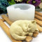 Silikonform für Katzen, schläfrige Katze, Seifenform, Silikonform für Kerzen, Katzenharz, handgefertigte Seifenform, 3D-Katzenform, Cartoon-Form, Epoxidform, Katze, Silikonform, Kerzenform