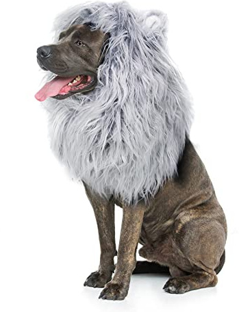 Onmygogo Löwenmähne Perücke für Hunde mit Ohren, lustige Haustierkostüme für Halloween Weihnachten (M, Grau)
