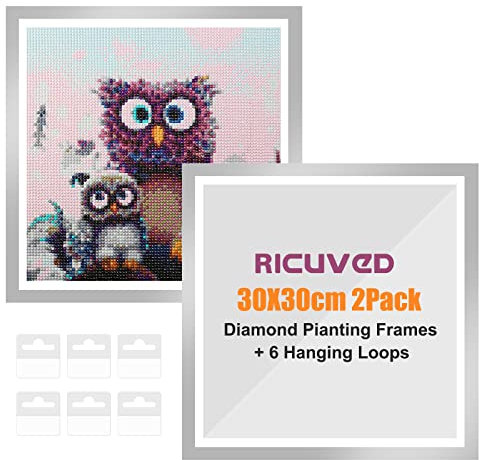 RICUVED 2Packs Argent Diamond Painting Cadre, Cadre de Peinture Diamant, 5D Diamond Painting Cadre Photo Peinture Diamant 5D Diamant Painting Cadre Photo Magnétique 30x30cm