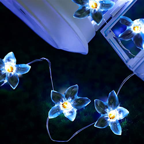 DINOWIN Blumen Lichterketten Batteriebetrieben für Schlafzimmer 9.8ft 20 LED Spiegel Dekorative Fee funkelnd Lichterkette für Wohnzimmer Vorhang, Terrasse (Blaue Blüte)