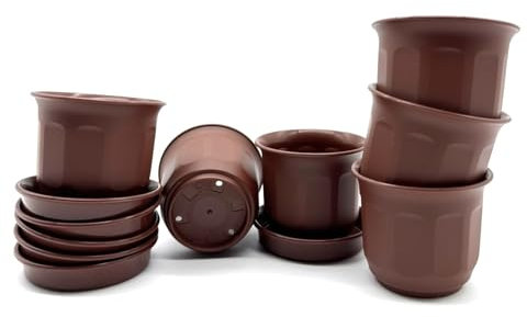 Kimmel Macetero de 6 cm con Plato, Juego de 6 Unidades, Color marrón