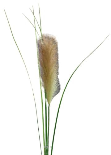 Artificielles.com - Herbe de la pampa artificielle H 97 cm superbe plumeau Pêche - couleur: Pêche