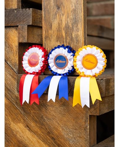 LeMieux Hobby Horse Rosette Pack - Set mit drei Satin-Gewinnerrosetten - Gratuliere deinem Hobbypferd - Geeignet für Kinder ab 3 Jahren