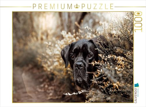 Puzzle · Cane Corso | Wächter der Stille · Ein Blick, der in die Tiefe führt · 1000 Teile · Lege-Größe 64 × 48 cm · CALVENDO Puzzle