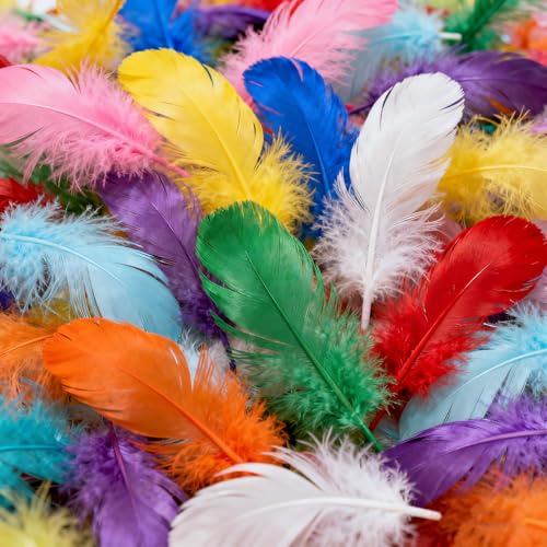 500 x Coloured Craft Feathers 6-12cm for Jewellery Making | Ideal for Crafters, Jewellery Makers, Party Planners, Florists, And DIY Enthusiasts of All Skill Levels.