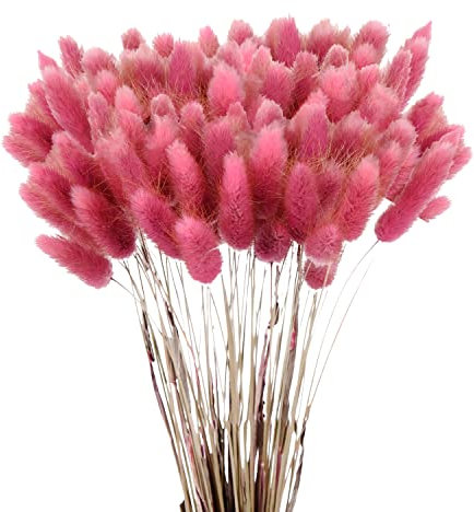 60 unidades de hierba de las Pampas seca, ramo de flores naturales, jarrón de suelo de flores secas, decoración grande artificial