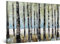 Startonight Impression sur Toile - Abstrait Beige Bleu Arbres Artiste - Grande Tableau Decoration Murale Prêt à Accrocher Arbres Peinture Moderne 60 x 90 cm Idée Cadeau Élégante et Originale