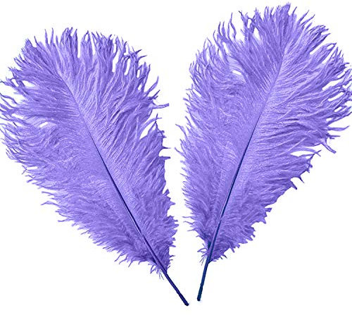 WedDecor Lilac Purple Natural Ostrich Feathers 14-16 (35-40cm) Long for Wedding Centerpieces, Home, Decorating Costumes, Embellishment, Art & Craft, Parties (Pack of 5)
