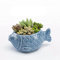 YUNHOME Blumentopf Sukkulenten Töpfe Pflanze Kakteen Topf Übertöpfe Blue Sea Series Flehyy European Style Blumentopf Vase Keramik Fischform Bonsai Sukkulenten Pflanztöpfe Desktop Pflanzer-Fisch