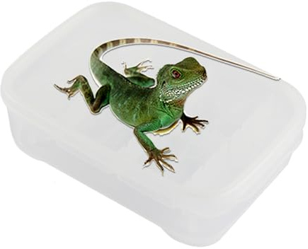 Reptilien-Brutkasten | 14 Gitter Gecko Schlüpfbecken Reptilienlebensraum transparente Zuchtbox für Frauen Männer Züchter Transport Skorpion Spinne Zuhause Indoor Outdoor