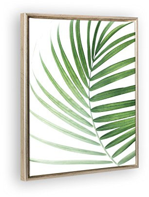 Schattenfugenrahmen Set Lemgo Silber Antik mit Keilrahmen Leinwand Bild Druck Motiv: Palmenblatt 1 40x50cm