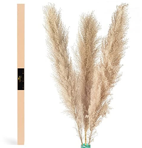 KAMISTE groß Pampasgras getrocknet Deko –3 Stück XXL 110cm Trockenblumen Set - modern boho natürlich Blumen dekoration für Vase im Wohnzimmer & Schlafzimmer - fluffig lang gras Strauß für die Hochzeit
