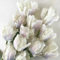 4 Pcs Tulpenzwiebeln Kaufen - Tulipa Gesneriana - Tulpen Zwiebeln, Blumen Winterhart, Bienenfreund Tulpenzwiebel, Blumenzwiebeln Tulpen, Frische Blumen, Gartendeko Für Draußen Blühwiese