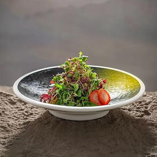 PFKXQBXC Piatti squisiti, nuovi piatti freddi rotondi in ceramica dell'hotel, sala da pranzo privata con zuppa, piatti caldi, piatti fondi, piatti e stoviglie