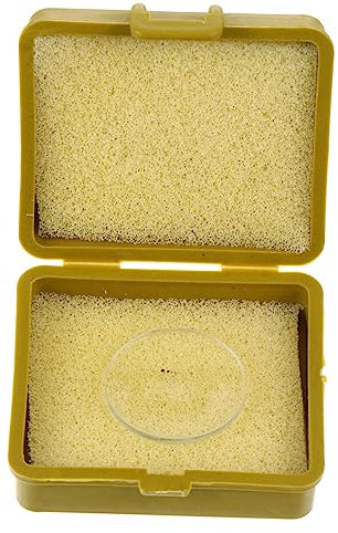 Cabilock Mikrometer Kleines Lineal Messen Mikroskop Zubehör Glasplatte