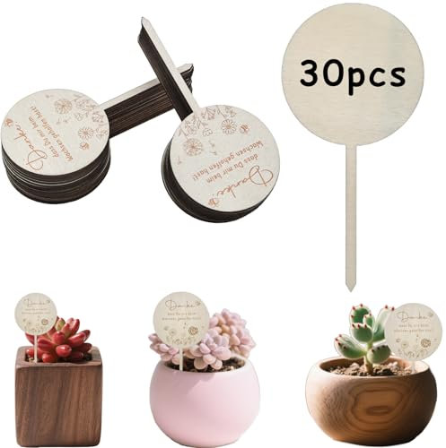 30 Stück Pflanzenschilder Holz Blumenstecker Schild Danke Dass du Mir Beim Wachsen Geholfen Hast, Holzschilder Danke Blumentopf Blumenstecker Abschiedsgeschenk Kindergarten Dankeschön Geschenk