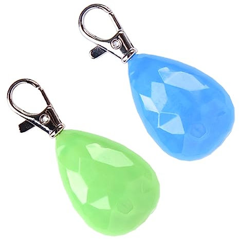 Toyvian 2stücke Hunde-lichtanhänger Für Draußen Haustier-hängedeko Aus Hochwertigem Material Pet Anhänger Mit Warnfunktion Zum Befestigen Am Halsband