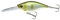 Daiwa Prorex Crank BT80DR setsuki ayu Wobbler