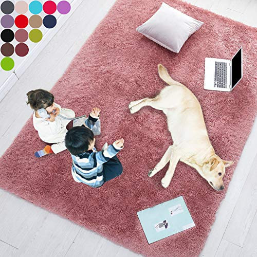 Blush Soft Rug for Girls Bedroom,Fluffy Area Rug 2'X3' for Living Room,Furry Carpet for Kids Room,Shaggy Door Mat for Entryway,Fuzzy Plush Rug for Dorm,Pink Carpet,Cute Room Decor for Baby
