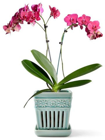 SUADEN Orchid Pots with Holes | 5 Ceramic Orchid Planter with Separate Saucer and Drainage Holes | Crackle Glazed Pottery Small Flower Pot for Repotting Orchids（Blue）