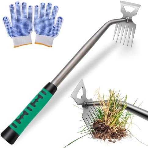 GMMG Attrezzo per la rimozione delle erbacce da giardinaggio, dispositivo di rimozione delle erbacce, erbacce con gambo, strumento di sradicamento per scavare erba, trapianto, diserbo (6 denti)