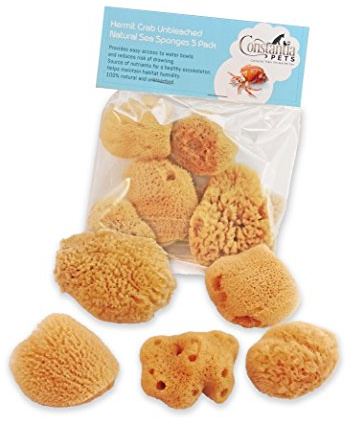 Constantia Pets Hermit Crab- All Natural Sea Sponges - 5 Pack Unbleached, Provides Nutrients, Safer Drinking, Helps Maintain Habitat Tank Humidity and Aquarium Decor, Premium Care for Your Crabs