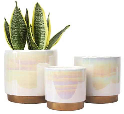 Gepege Macetas de interior blancas para plantas, maceta de cerámica con agujero de drenaje, 6 pulgadas + 5 pulgadas + 4 pulgadas. Maceta de orquídea suculenta - Esmalte de perlas arcoíris