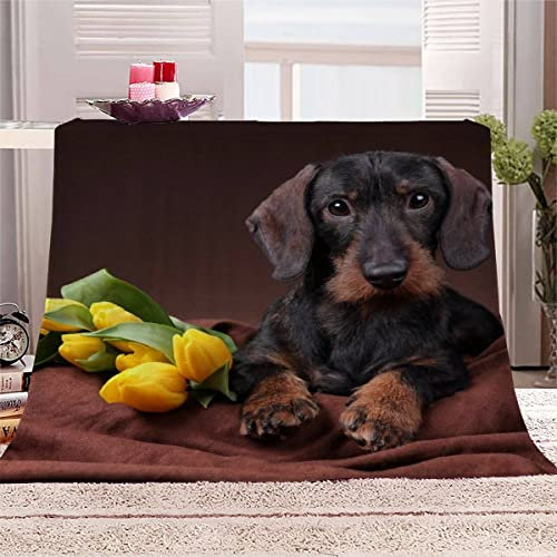 VIROGE Kuscheldecke Baby 70x100 cm Dackel Flanell Decke Extra Weich Flauschige Wohndecke Blume Tierhund mit Muster Blanket Fleecedecke Waschbar Microfaser Sofadecke für Jungen Mädchen
