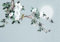 CLVIUJLBKLKSDD Papier Peint Panoramique Soie Sur Mesure 3D Motif Chinois Paysage Nouveau Mur D'Arrière-Plan De Fleurs Et D'Oiseaux Peints À La Main En Chinois 300x210cm, Zen Poster Geant Mural